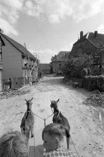 ARH NL Mellin 02-126/0003, Zwei Jungen in einem Wagen mit zwei vorgespannten Ziegen in einem Dorf, um 1975