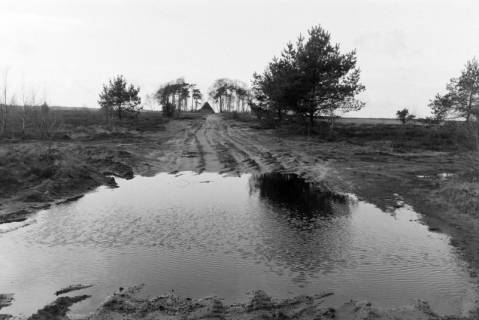 ARH NL Mellin 02-133/0002, Naturpark Südheide, Faßberg, um 1975