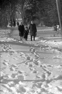 ARH NL Mellin 02-133/0013, Spazierende auf einem verschneiten Wald-/Parkweg, Burgdorf?, um 1975