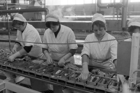 ARH NL Mellin 02-144/0003, Arbeiterinnen einer Fischfabrik, um 1975