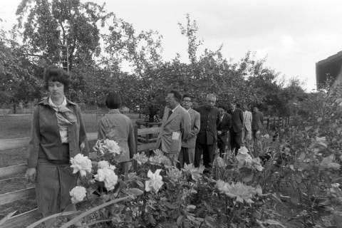 ARH NL Mellin 02-144/0012, Besuchergruppe in einem Obstgarten, um 1975