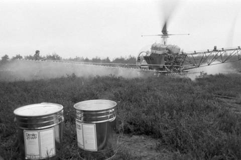 ARH NL Mellin 02-149/0004, Helikopter (Bell 47) des "Air Lloyd Pflanzenschutz" beim Streuen von Insektiziden (Dimilin), um 1975