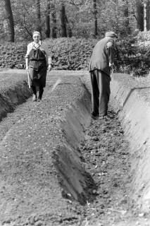 ARH NL Mellin 02-151/0010, Zwei ältere Männer bei landwirtschaftlicher Arbeit(?), um 1975