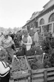 ARH NL Mellin 02-168/0006, Pflanzenverkauf von "Th. Brüggemann Baumschulen - Gartenbau, 4401 Sendenhorst", um 1975