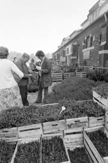 ARH NL Mellin 02-168/0007, Pflanzenverkauf von "Th. Brüggemann Baumschulen - Gartenbau, 4401 Sendenhorst", um 1975