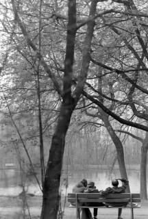 ARH NL Mellin 02-170/0022, Drei Personen auf einer Bank an einem See in einem Park sitzend, um 1975