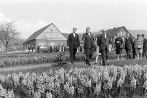 ARH NL Mellin 02-173/0014, Wilfried Hasselmann (Zweiter von links) mit einer Gruppe Personen zu einer Blumenschau am Essmannshof, Deckbergen, um 1970