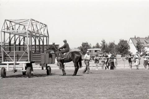 ARH NL Mellin 02-189/0001, Rennpferd an der Startmaschine, um 1970