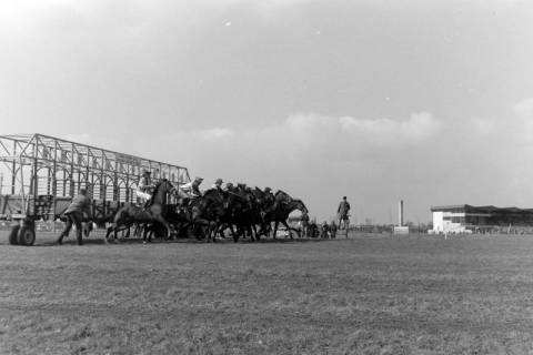 ARH NL Mellin 02-196/0008, Start eines Pferderennens auf der Pferderennbahn "Neue Bult", Langenhagen, nach 1973
