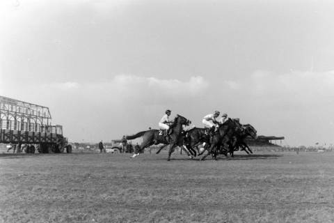 ARH NL Mellin 02-196/0009, Start eines Pferderennens auf der Pferderennbahn "Neue Bult", Langenhagen, nach 1973