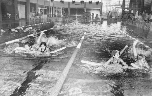 ARH Slg. Bartling 420, Planschende Kinder im Schwimmerbecken des Hallenbades, um 1972