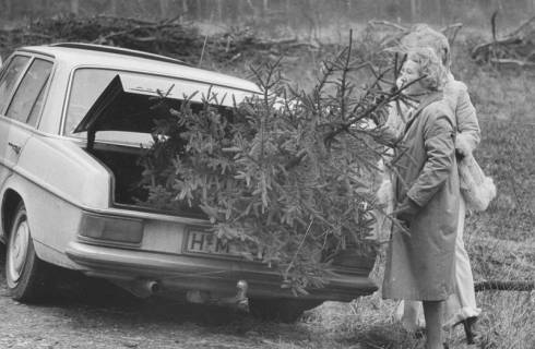 ARH Slg. Bartling 964, Transport eines Weihnachtsbaums im Kofferraum eines Mercedes-PKW, 1974