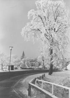 ARH Slg. Bartling 976, Parkplatz und Straße "Zwischen den Brücken" im Winterkleid, Blick auf den Kirchturm, im Vordergrund eine Linde mit Rauhreif, Neustadt a. Rbge., um 1975