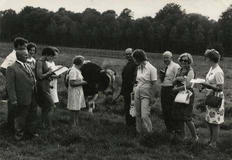 ARH Slg. Bartling 1021, Vorführung (Körung?) eines Bullen durch Otto Habermann (Mitte), Mandelsloh, Neustadt a. Rbge., 1972