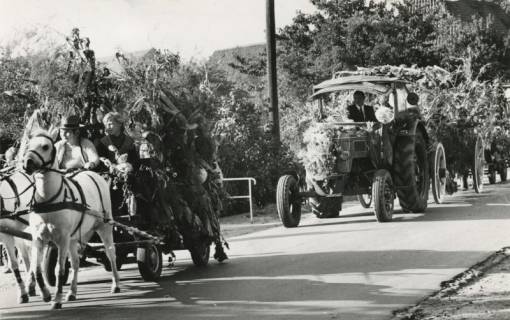 ARH Slg. Bartling 1022, Erntefest, Geschmückte Festwagen beim Umzug, vorn ein zweispänniges Schimmelgespann, hinten ein Treckergespann, Borstel, 1972