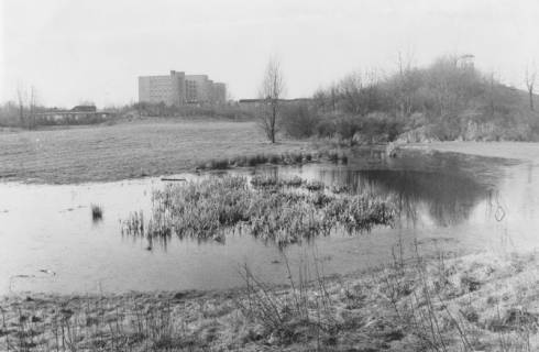 ARH Slg. Bartling 1036, Leine-Aue am Silbernkamp, Blick über einen Tümpel auf das Krankenhaus, rechts der Spielplatzberg, Neustadt a. Rbge., um 1980