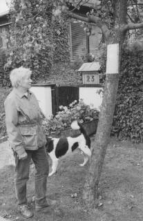 ARH Slg. Bartling 1052, Frau im Spätsommer mit geflecktem Hund steht vor dem Apfelbaum am Eingang des Hauses Apfelallee 23 und liest die am Baumstamm befestigte amtliche Bekanntmachung, Neustadt a. Rbge., um 1980