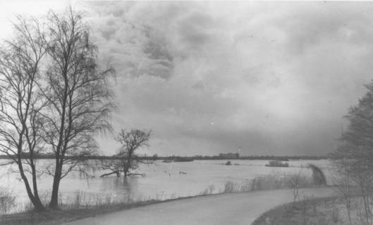 ARH Slg. Bartling 1062, Leine-Hochwasser im Spätherbst, Blick vom östlichen Ufer mit Weg nach Nordwesten über das überschwemmte Flusstal (darin die Krone einer Eiche), Neustadt a. Rbge., um 1980