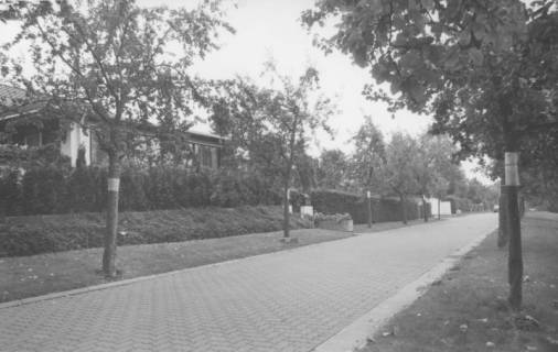 ARH Slg. Bartling 1074, Apfelbäume vor dem Haus Apfelallee 23 mit am Baumstamm befestigter amtlicher Bekanntmachung, Neustadt a. Rbge., um 1980