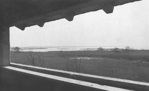 ARH Slg. Bartling 1103, Blick durch die Luke des Aussichtsturms (an der Neuen Moorhütte?) auf das verlandete Ufer, Steinhuder Meer, um 1980