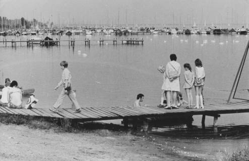 ARH Slg. Bartling 1108, Blick entlang dem Ufer auf eine Vielzahl von Bootsanlegerstegen, Steinhuder Meer, um 1980