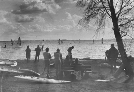 ARH Slg. Bartling 1113, Nordufer im Spätherbst, zahlreiche Surfer auf dem Wasser und an der Einsatzstelle unter einem Himmel mit dunklen Wolken, rechts ein entlaubter Baum, Steinhuder Meer, um 1980