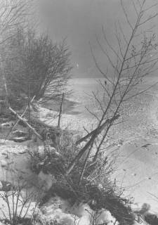 ARH Slg. Bartling 1125, Schneebedeckte Uferböschung mit Sträuchern am zugefrorenen See, Spuren vom regen Betreten des Eises, Steinhuder Meer, 1970