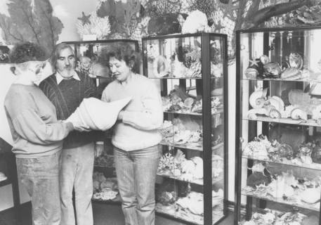 ARH Slg. Bartling 1138, Muschelmuseum "Seestern", drei Schrankvitrinen mit Muscheln, Schnecken, Korallen u. a., teilweise exotisch, davor zwei Frauen und ein Mann, eine großes Schneckengehäuse betrachtend, Steinhuder Meer, um 1980