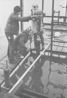 ARH Slg. Bartling 1039, Drei Männer beim Aufbau eines Bootsstegs beim einrammen eines Pfahls, Steinhuder Meer, 1973