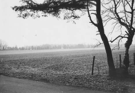 ARH Slg. Bartling 1140, Für die Anlegung von Parkplätzen vorgesehene Ackerfläche am Weg am Nordufer, Steinhuder Meer, um 1980