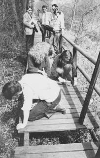 ARH Slg. Bartling 1144, Ausbesserung des Stegs zum Aussichtsturm an der Neuen Moorhütte, unter den Beobachtern Dr. Michael Arndt, Dezernent bzw. Landrat des Lk Hannover (Bildmitte), Steinhuder Meer, um 1980