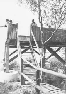ARH Slg. Bartling 1149, Aussichtsturm an der Neuen Moorhütte, Blick vom Steg über die Treppe auf die Plattform, darauf drei Personen, Steinhuder Meer, um 1980
