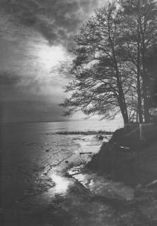 ARH Slg. Bartling 1157, Abendstimmung am winterlichen Nordufer, Blick durch die entlaubten Bäume am Ufer auf den zugefrorenen See und die hinter den Wolken verschwindende Sonne, Steinhuder Meer, um 1980