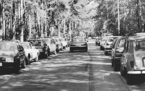 ARH Slg. Bartling 1168, Meerstraße im Sommer, belebt von Autoverkehr zwischen zahlreichen parkenden PKWs an einem Sonntag, Steinhuder Meer, um 1980