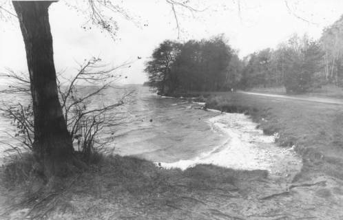 ARH Slg. Bartling 1180, Nordufer, Uferpartie im Spätherbst, rechts der Uferweg, Steinhuder Meer, um 1980