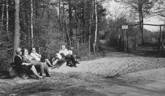 ARH Slg. Bartling 1194, Nordufer, Uferweg, 5 Personen auf 2 Ruhebänken sitzend, die Sonnenstrahlen genießend, rechts ein geöffnetes Holztor mit geschwungenem Balkensturz und ein vom Uferweg abgehender Privatweg, Steinhuder Meer, 1970