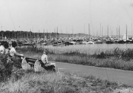 ARH Slg. Bartling 1214, Nordufer, Blick über eine Sitzbank (links) am Uferweg auf Bootsanleger in der Nähe des Kurhotels (Seehotels?) mit zahlreichen Booten, Steinhuder Meer, um 1970