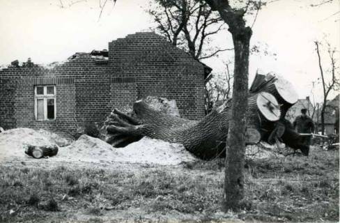 ARH Slg. Bartling 1227, Sturmschaden in Borstel, Blick über einen umgestürzten, zersägten Baum auf eine zerstörte Giebelwand des Altbaus eines Einfamilienhauses, Borstel, 1969