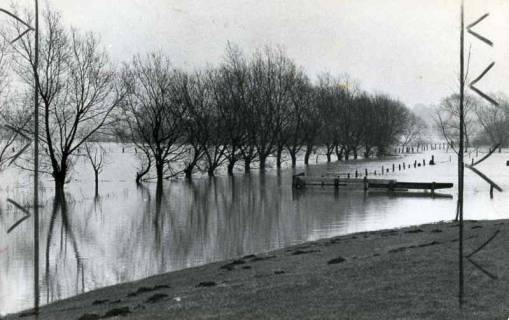 ARH Slg. Bartling 1546, Leine-Hochwasser, Blick auf die überschwemmte Leinemasch mit Baumreihe, Bordenau, 1975