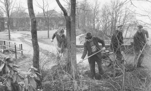 ARH Slg. Bartling 1565, Sanierung des Schlossgartens, vier Männer beseitigen wild gewachsene Bäume und Sträucher, Neustadt a. Rbge., 1974