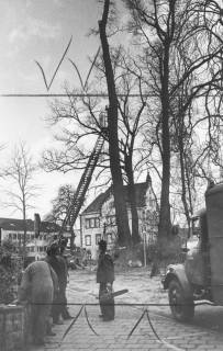 ARH Slg. Bartling 1582, Schlossstraße, alte Ulmen werden von der Feuerwehr mit Hilfe einer Drehleiter gefällt, im Hintergrund das alte und das neue Gebäude des Amtsgerichts, Neustadt am Rübenberge, 1973