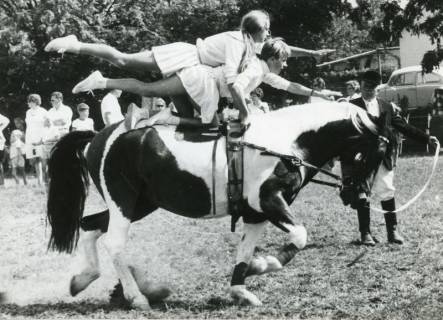ARH Slg. Bartling 2173, Vorführung einer Voltigier-Gruppe mit Mädchen-Duo kniend mit ausgestrecktem Arm und Bein auf einem trabenden Pony, um 1975