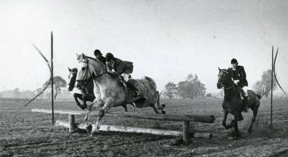 ARH Slg. Bartling 2175, Drei Reiter bei der Hubertus-Jagd auf einem Parcour über eine Weide mit feststehendem Hindernis, 1973
