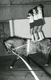 ARH Slg. Bartling 2196, Drei Mädchen auf einem Pferd (mit Trakehner-Brandzeichen) stehend beim Voltigieren in der Reithalle, Mandelsloh, 1972