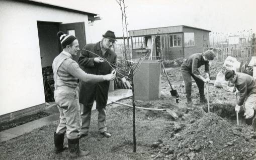 ARH Slg. Bartling 2318, Vier Männer bei der Arbeit vor zwei Gartenlauben des Kleingärtnervereins an der Jahnstraße, Neustadt a. Rbge., 1972