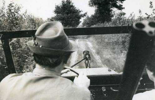 ARH Slg. Bartling 2472, Jagdpächter Dr. med. dent. Henning Gode fährt mit dem Geländewagen über einen Waldweg in sein Revier, vor ihm ein Jagdhund, Kreisjägerschaft, Neustadt a. Rbge., um 1970