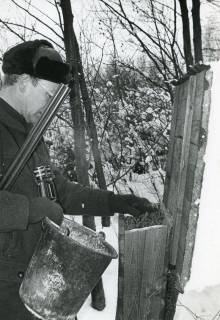 ARH Slg. Bartling 2482, Jagdpächter Dr. med. dent. Henning Gode mit Flinte und Fernglas bei hohem Schnee im winterlichen Wald bei der Wildfütterung stehend an einer Krippe, 1970