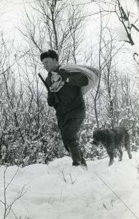 ARH Slg. Bartling 2483, Jagdpächter Dr. med. dent. Henning Gode mit Flinte, Fernglas, Rucksack und Hund im winterlichen Wald durch hohen Schnee zur Wildfütterung stapfend, 1970