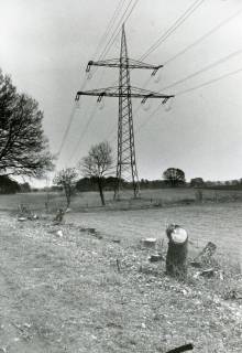 ARH Slg. Bartling 2504, Landschaftspflege (Baumschnitt) unter einer Starkstromleitung auf freiem Felde, Blick über die Baumstümpfe entlang der Leitung, Neustadt a. Rbge., um 1975