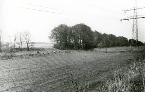 ARH Slg. Bartling 2505, Landschaftspflege (Baumschnitt) unter einer Starkstromleitung auf freiem Felde, Blick quer zur der Leitung auf die Baumstümpfe, Neustadt a. Rbge., um 1975